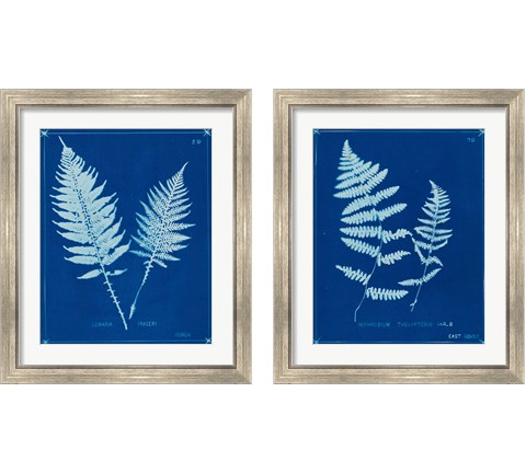 Cyanotype Ferns 2 Piece Framed Art Print Set