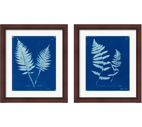 Cyanotype Ferns 2 Piece Framed Art Print Set