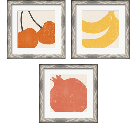Graphic Fruit  3 Piece Framed Art Print Set by Moira Hershey