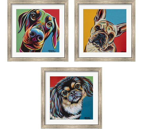 Chroma Dogs 3 Piece Framed Art Print Set by Carolee Vitaletti