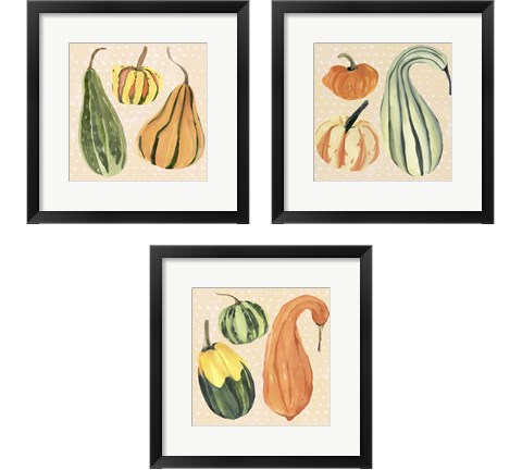 Decorative Gourd 3 Piece Framed Art Print Set by Annie Warren