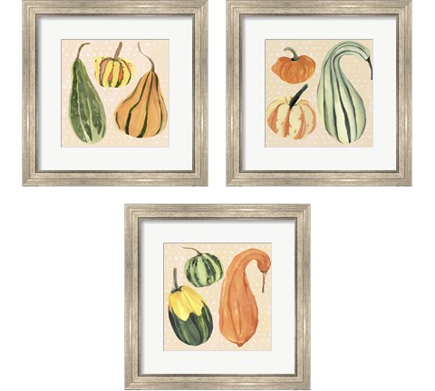 Decorative Gourd 3 Piece Framed Art Print Set by Annie Warren