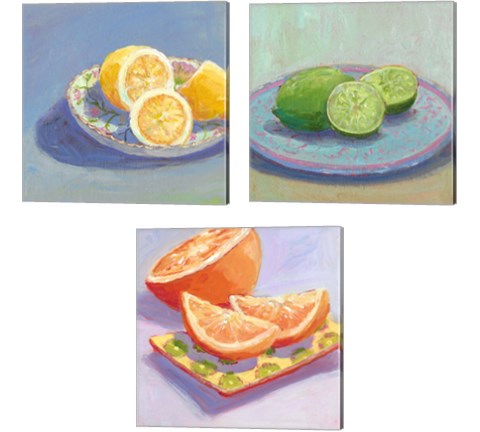 Still Citrus 3 Piece Canvas Print Set by Carol Young