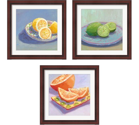 Still Citrus 3 Piece Framed Art Print Set by Carol Young