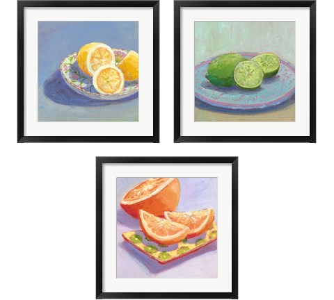 Still Citrus 3 Piece Framed Art Print Set by Carol Young