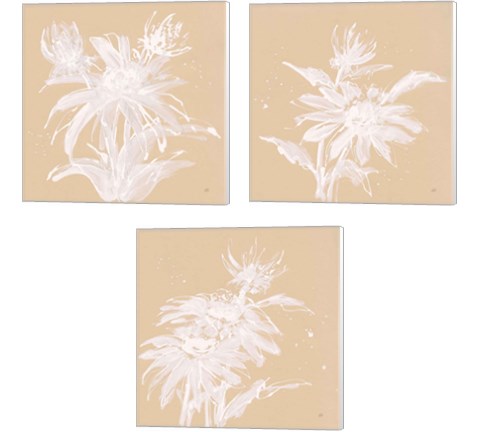 Echinacea  3 Piece Canvas Print Set by Chris Paschke