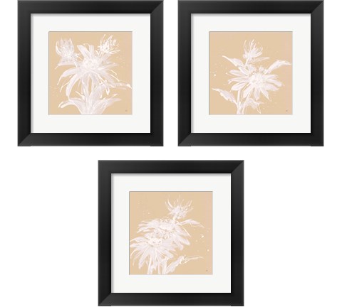 Echinacea  3 Piece Framed Art Print Set by Chris Paschke