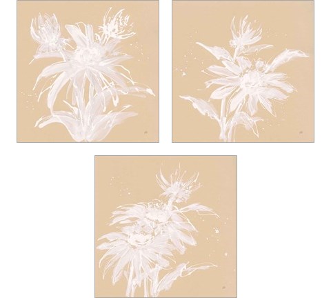 Echinacea  3 Piece Art Print Set by Chris Paschke