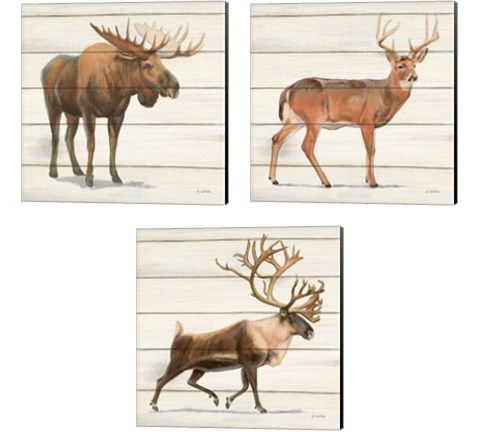 Northern Wild 3 Piece Canvas Print Set by James Wiens