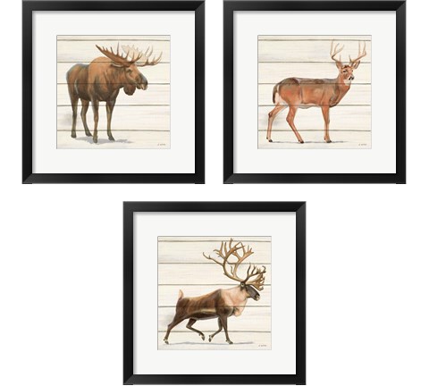 Northern Wild 3 Piece Framed Art Print Set by James Wiens