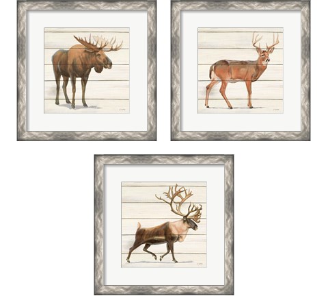 Northern Wild 3 Piece Framed Art Print Set by James Wiens