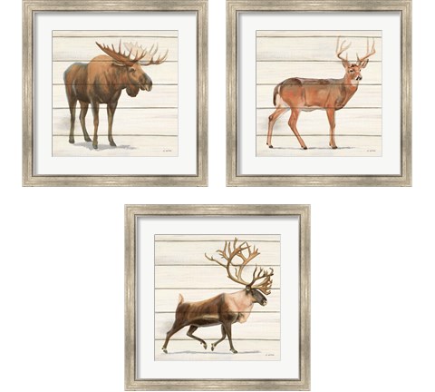 Northern Wild 3 Piece Framed Art Print Set by James Wiens