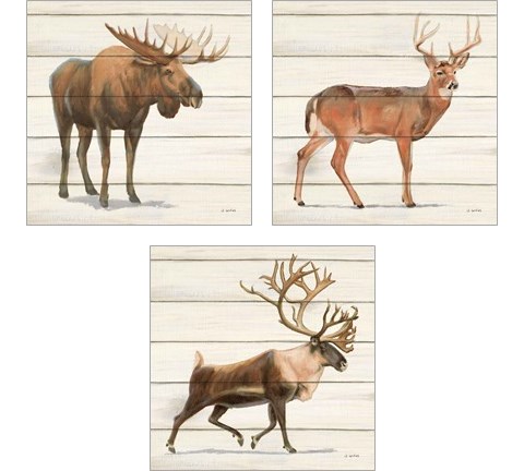Northern Wild 3 Piece Art Print Set by James Wiens