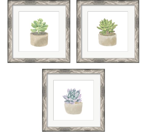 Simple Succulent 3 Piece Framed Art Print Set by Bannarot