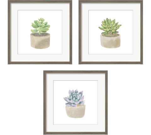 Simple Succulent 3 Piece Framed Art Print Set by Bannarot