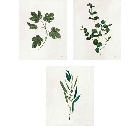 Botanical Study Greenery 3 Piece Art Print Set by Julia Purinton