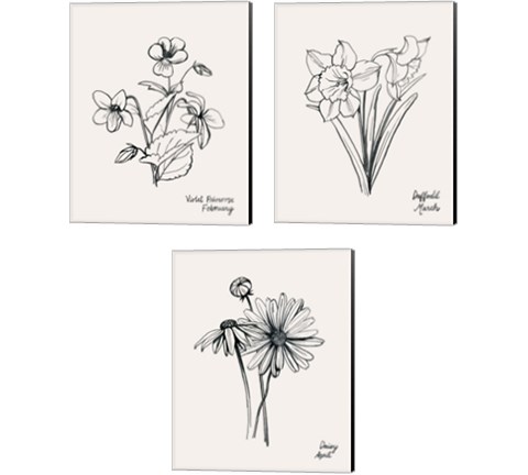 Annual Flowers 3 Piece Canvas Print Set by Grace Popp