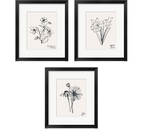 Annual Flowers 3 Piece Framed Art Print Set by Grace Popp