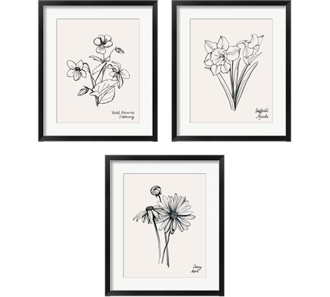 Annual Flowers 3 Piece Framed Art Print Set by Grace Popp
