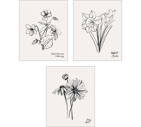 Annual Flowers 3 Piece Art Print Set by Grace Popp