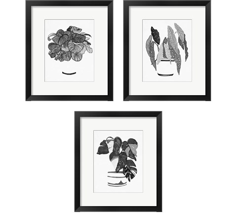 B&W Indoor Plant 3 Piece Framed Art Print Set by Stellar Design Studio