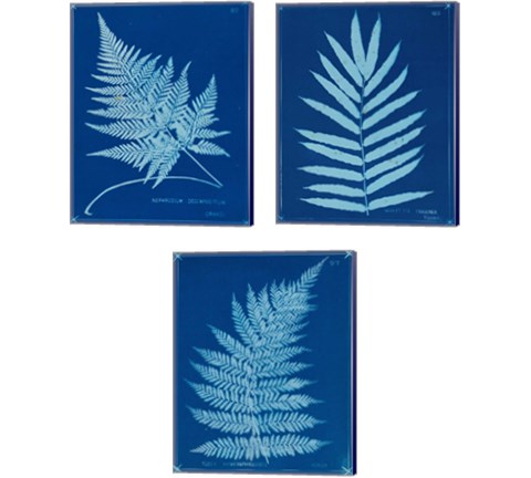 Cyanotype Ferns 3 Piece Canvas Print Set