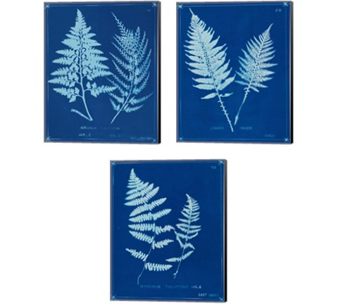 Cyanotype Ferns 3 Piece Canvas Print Set