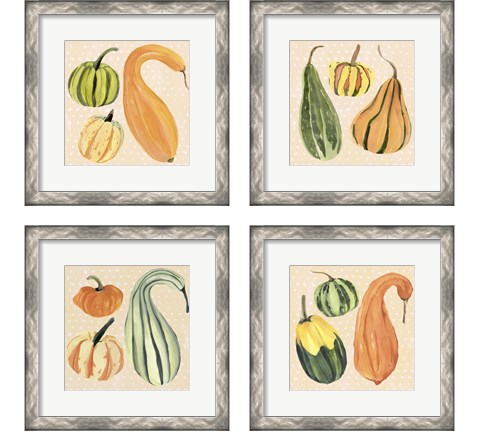 Decorative Gourd 4 Piece Framed Art Print Set by Annie Warren