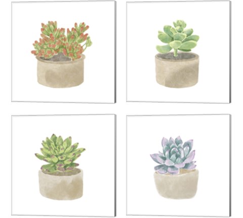 Simple Succulent 4 Piece Canvas Print Set by Bannarot