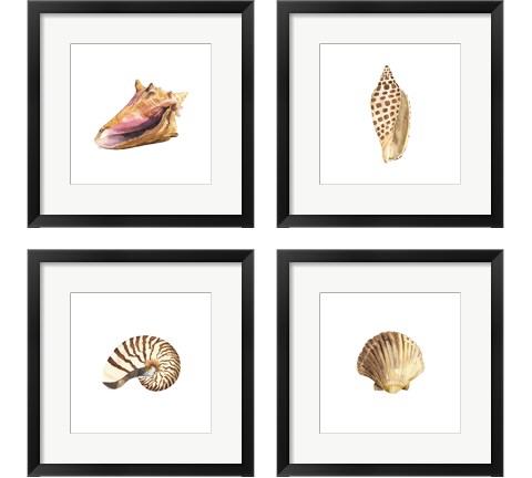 Oceanum Shells White 4 Piece Framed Art Print Set by Tara Reed