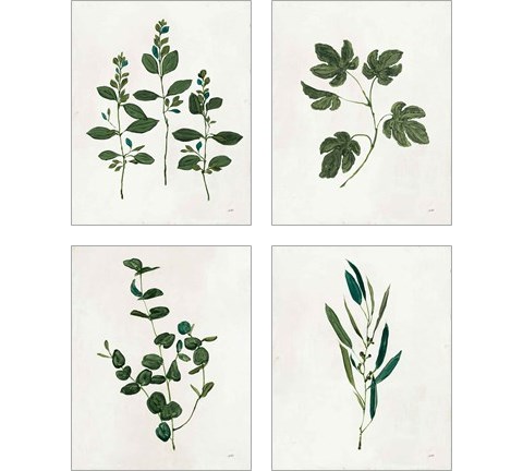 Botanical Study Greenery 4 Piece Art Print Set by Julia Purinton