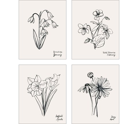 Annual Flowers 4 Piece Art Print Set by Grace Popp