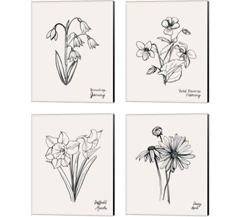 Annual Flowers 4 Piece Canvas Print Set by Grace Popp