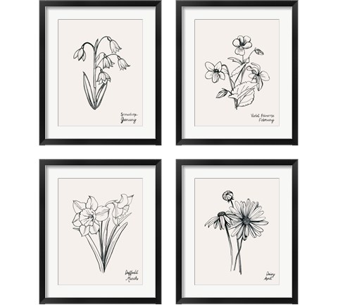 Annual Flowers 4 Piece Framed Art Print Set by Grace Popp