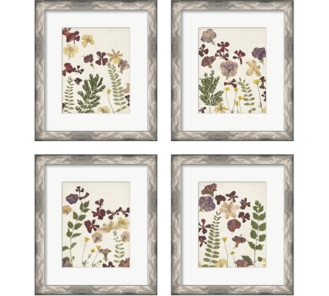 Pressed Flower Arrangement 4 Piece Framed Art Print Set by Regina Moore