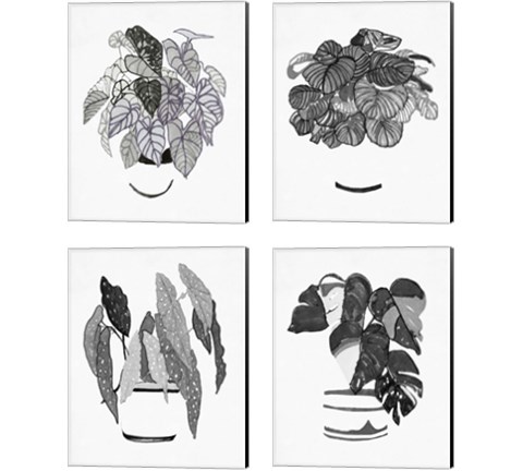 B&W Indoor Plant 4 Piece Canvas Print Set by Stellar Design Studio
