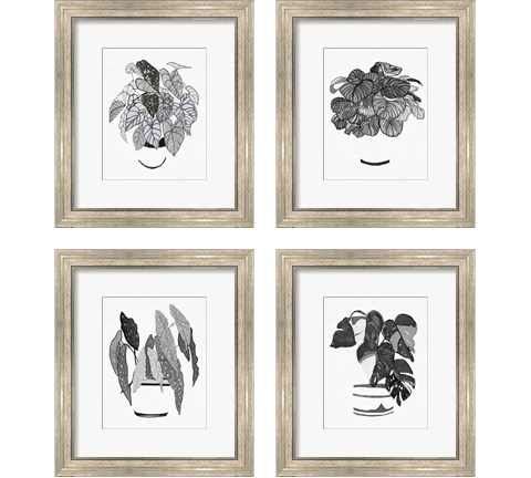 B&W Indoor Plant 4 Piece Framed Art Print Set by Stellar Design Studio