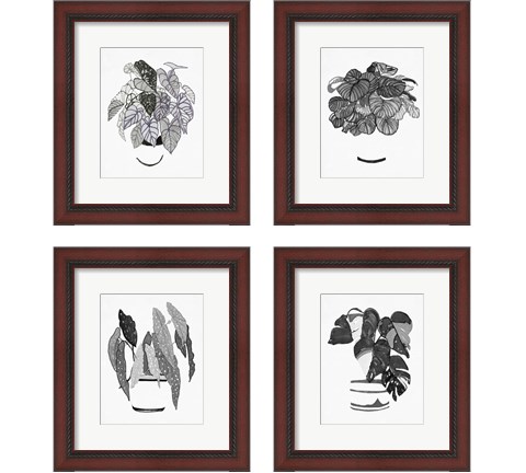 B&W Indoor Plant 4 Piece Framed Art Print Set by Stellar Design Studio