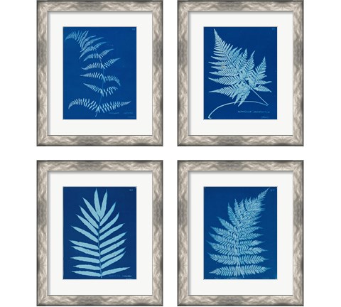 Cyanotype Ferns 4 Piece Framed Art Print Set