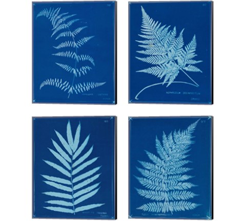 Cyanotype Ferns 4 Piece Canvas Print Set