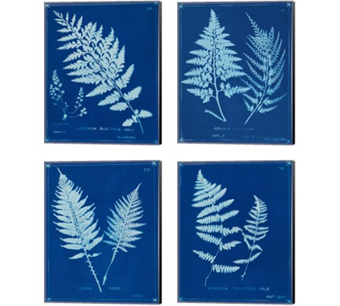 Cyanotype Ferns 4 Piece Canvas Print Set