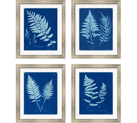 Cyanotype Ferns 4 Piece Framed Art Print Set