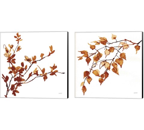 Colors of the Fall 2 Piece Canvas Print Set by Anne Tavoletti