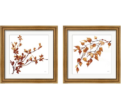 Colors of the Fall 2 Piece Framed Art Print Set by Anne Tavoletti