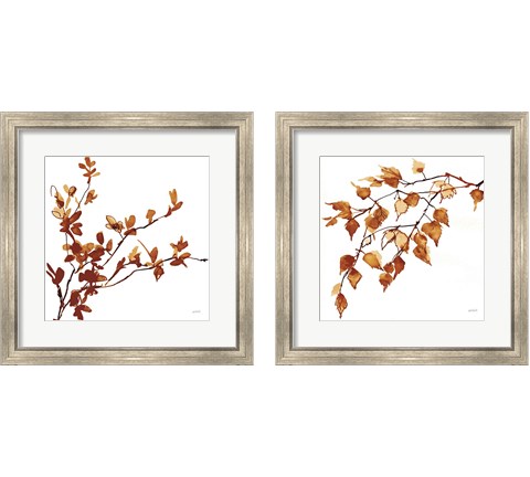 Colors of the Fall 2 Piece Framed Art Print Set by Anne Tavoletti