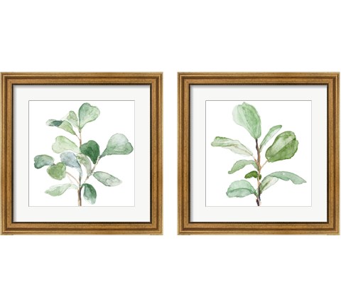 Fiddle Fig Leaf Plant 2 Piece Framed Art Print Set by Lanie Loreth