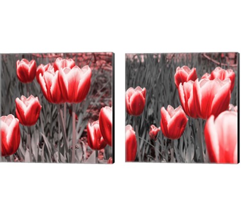 Red Tulips 2 Piece Canvas Print Set by Emily Navas