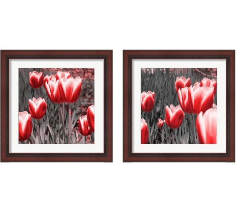 Red Tulips 2 Piece Framed Art Print Set by Emily Navas