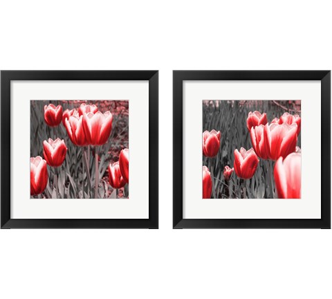 Red Tulips 2 Piece Framed Art Print Set by Emily Navas