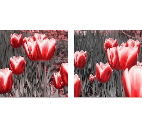 Red Tulips 2 Piece Art Print Set by Emily Navas